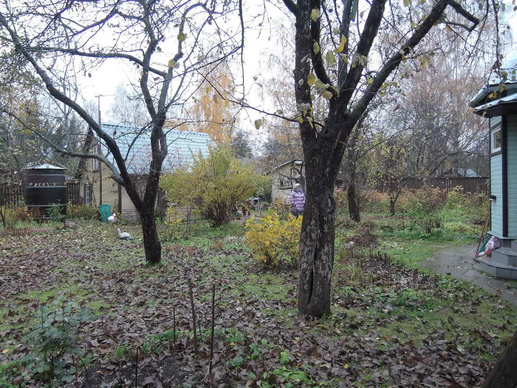 Дача в осеннем лесу, фото 14