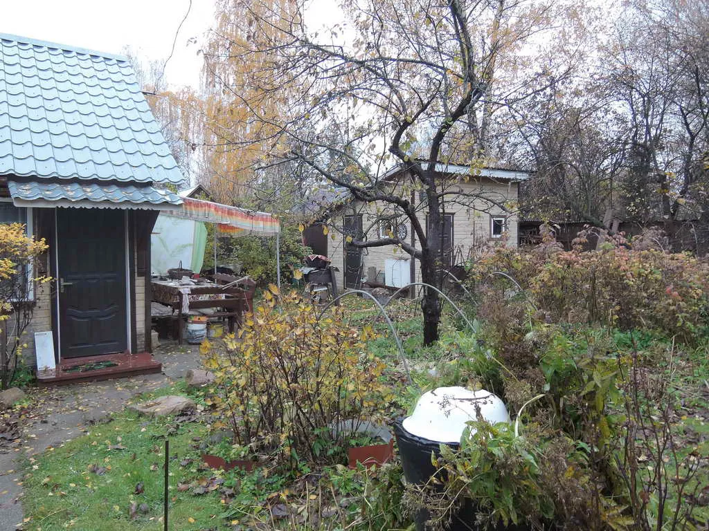 Дача в осеннем лесу, фото 19