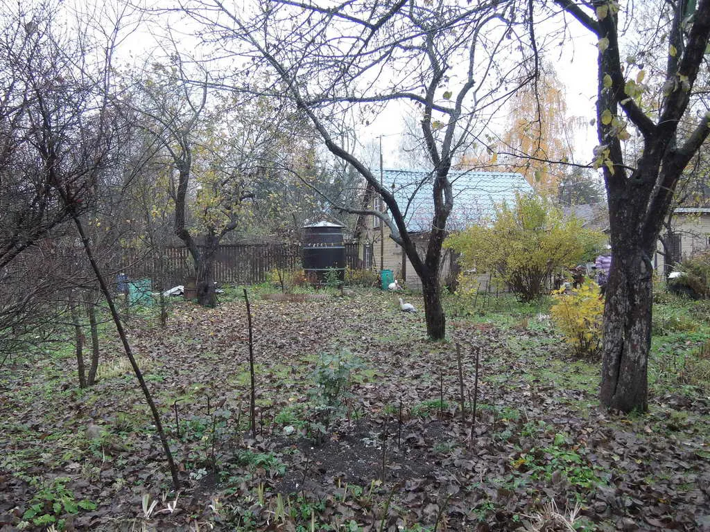 Дача в осеннем лесу, фото 13
