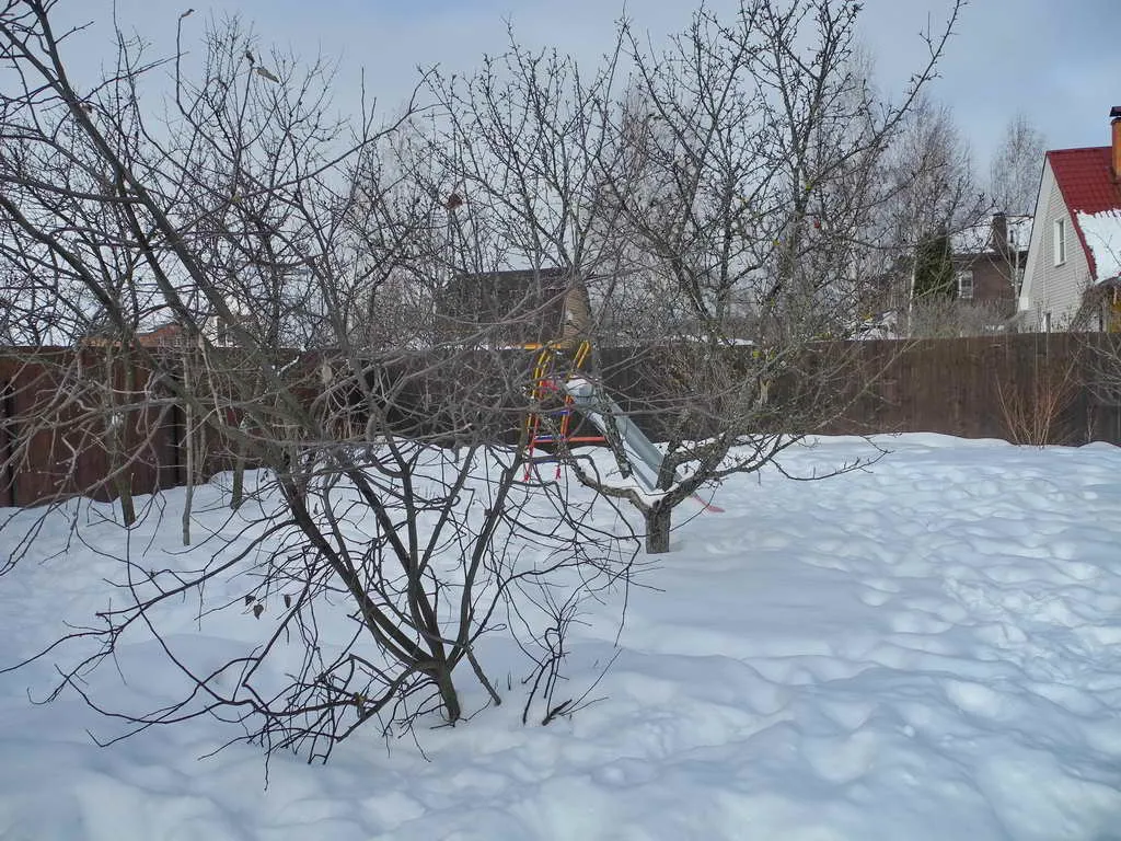 Загородный дом с елками, фото 13