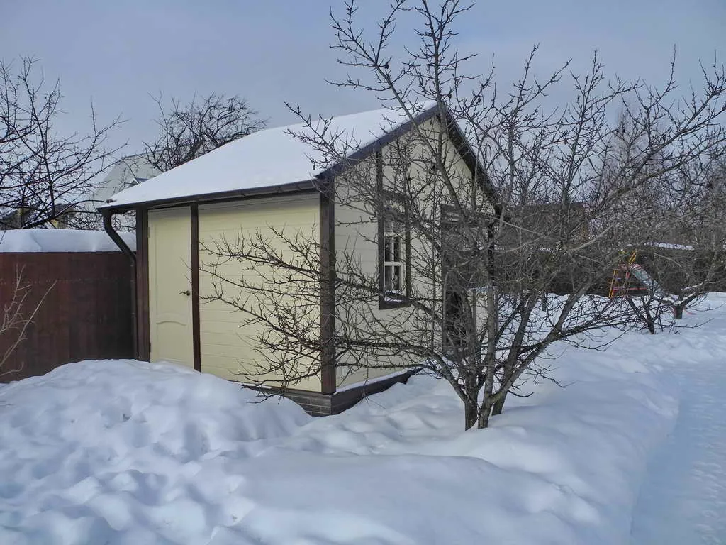 Загородный дом с елками, фото 12