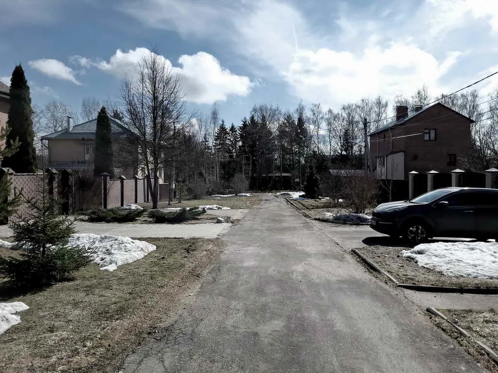 Загородный дом с елками, фото 4