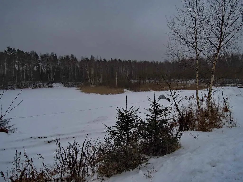 Загородный дом с остекленной башней, фото 17