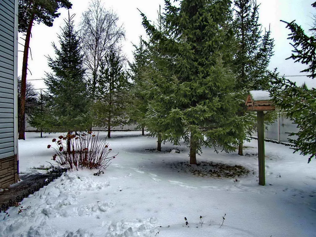 Загородный дом с остекленной башней, фото 5