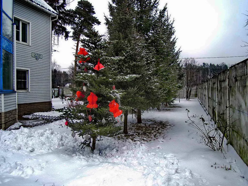 Загородный дом с остекленной башней, фото 4