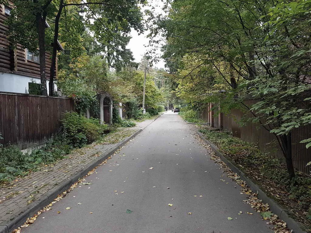 Бревенчатый дом с аркой, фото 1