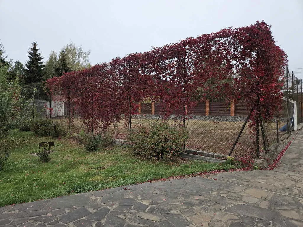 Вилла с колоннадой, фото 10