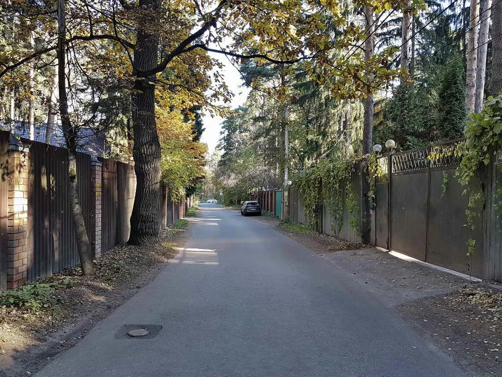 Рыжая дача под соснами, фото 1
