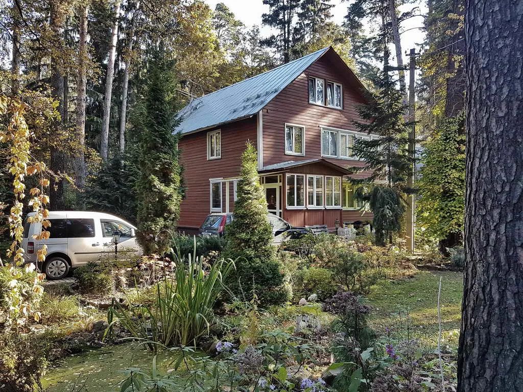 Рыжая дача под соснами, фото 6