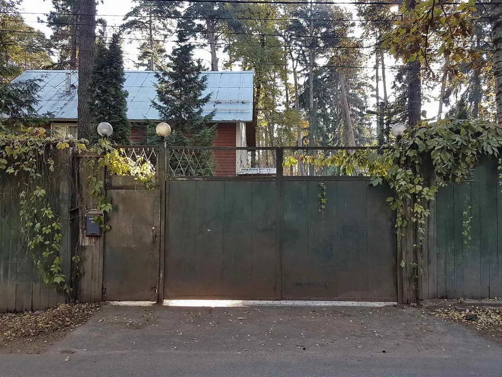 Рыжая дача под соснами, фото 3
