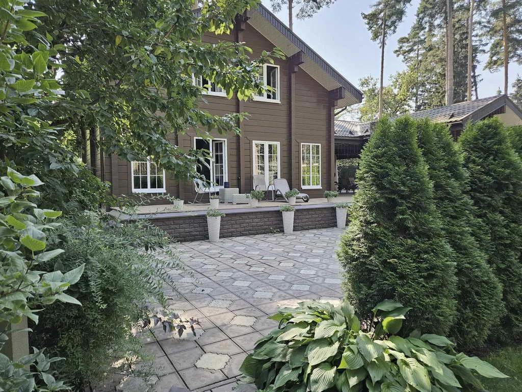 Хвойные клинчатые окна, фото 12