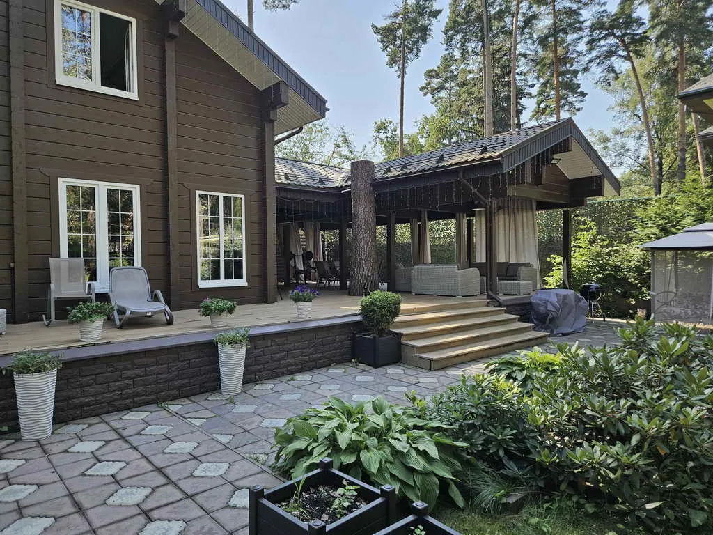 Хвойные клинчатые окна, фото 13