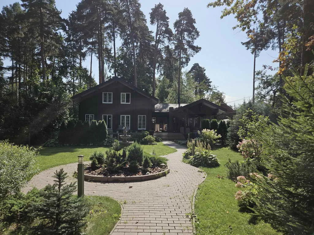 Хвойные клинчатые окна, фото 10