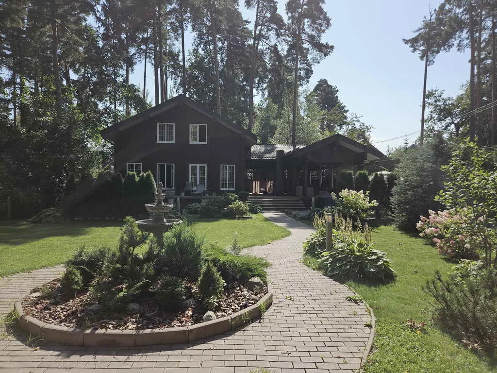 Хвойные клинчатые окна, фото 11