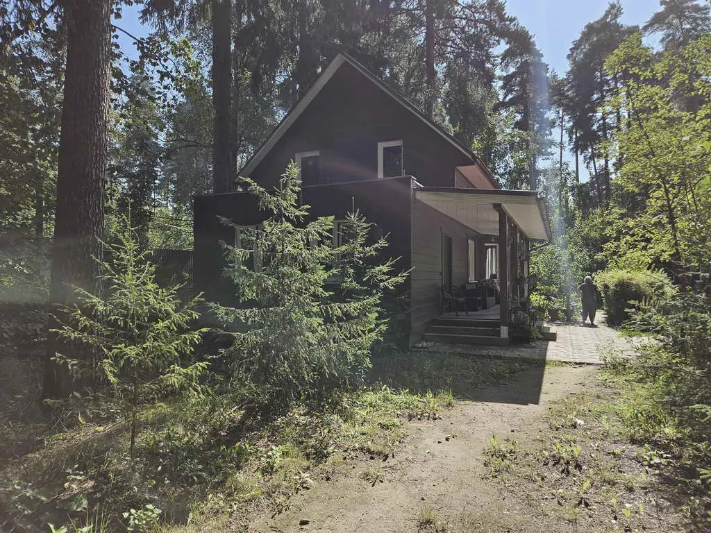 Хвойные клинчатые окна, фото 5