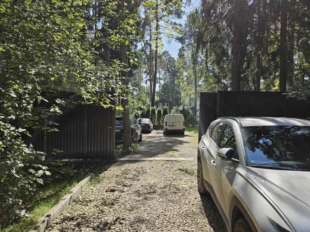 Хвойные клинчатые окна, фото 2