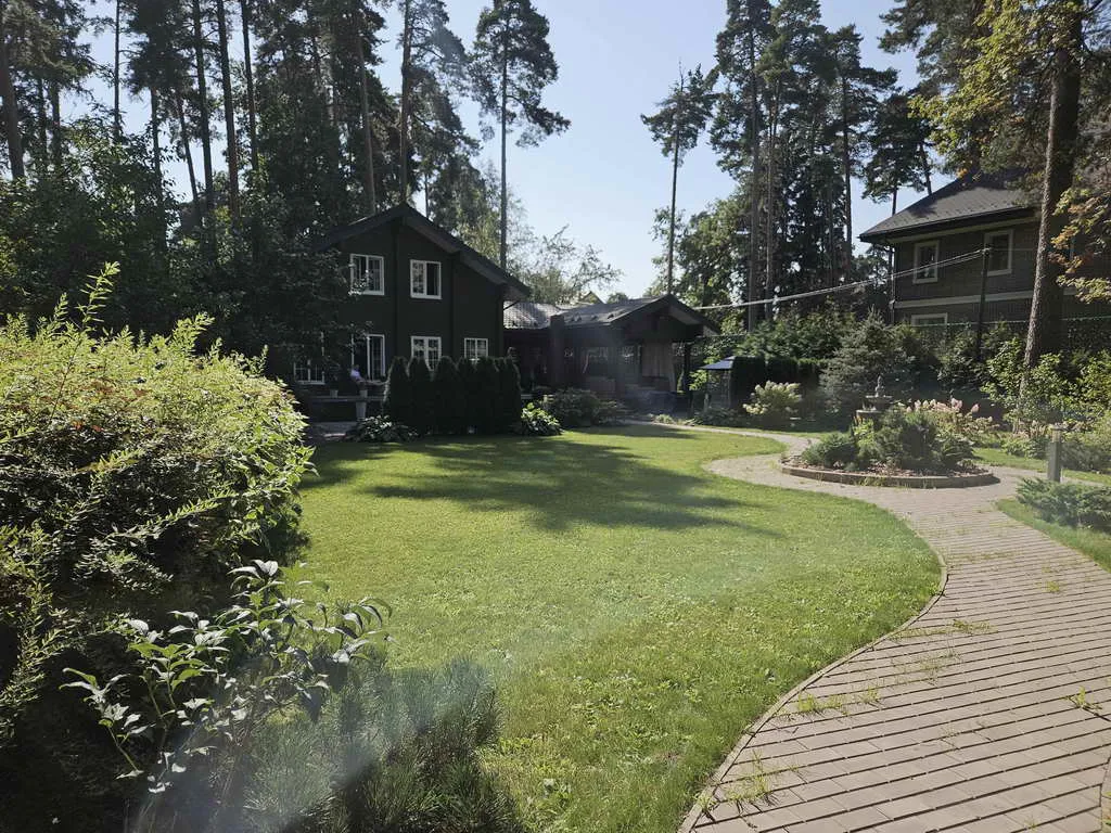 Хвойные клинчатые окна, фото 9