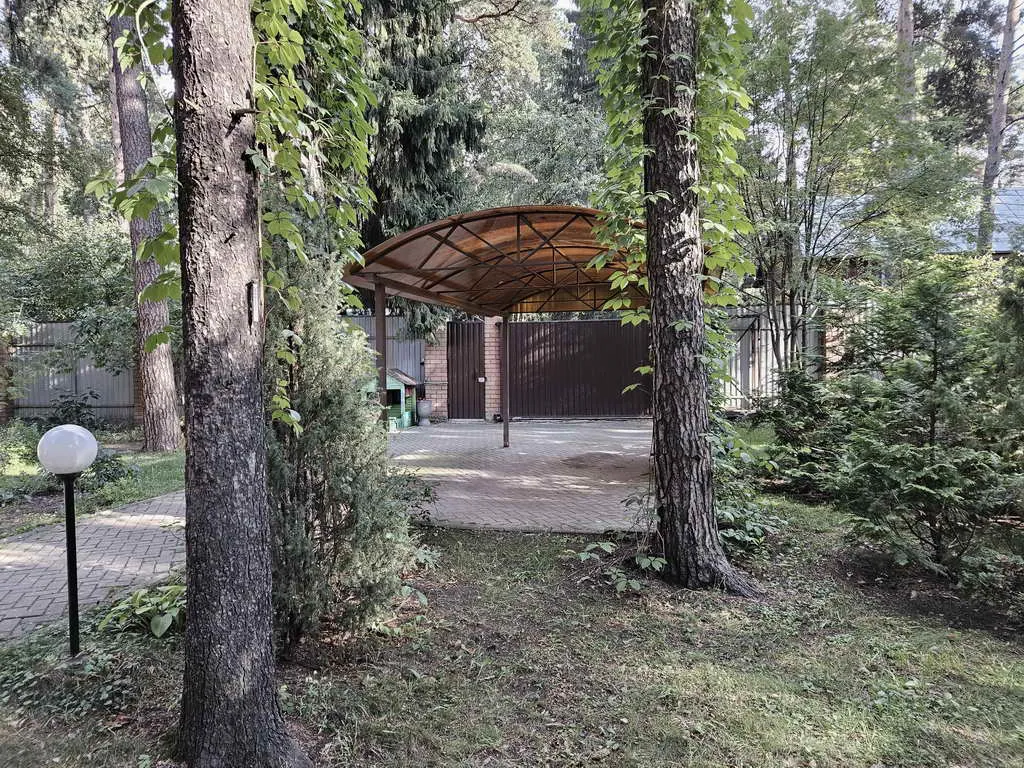 Рыжая дача в соснах, фото 10
