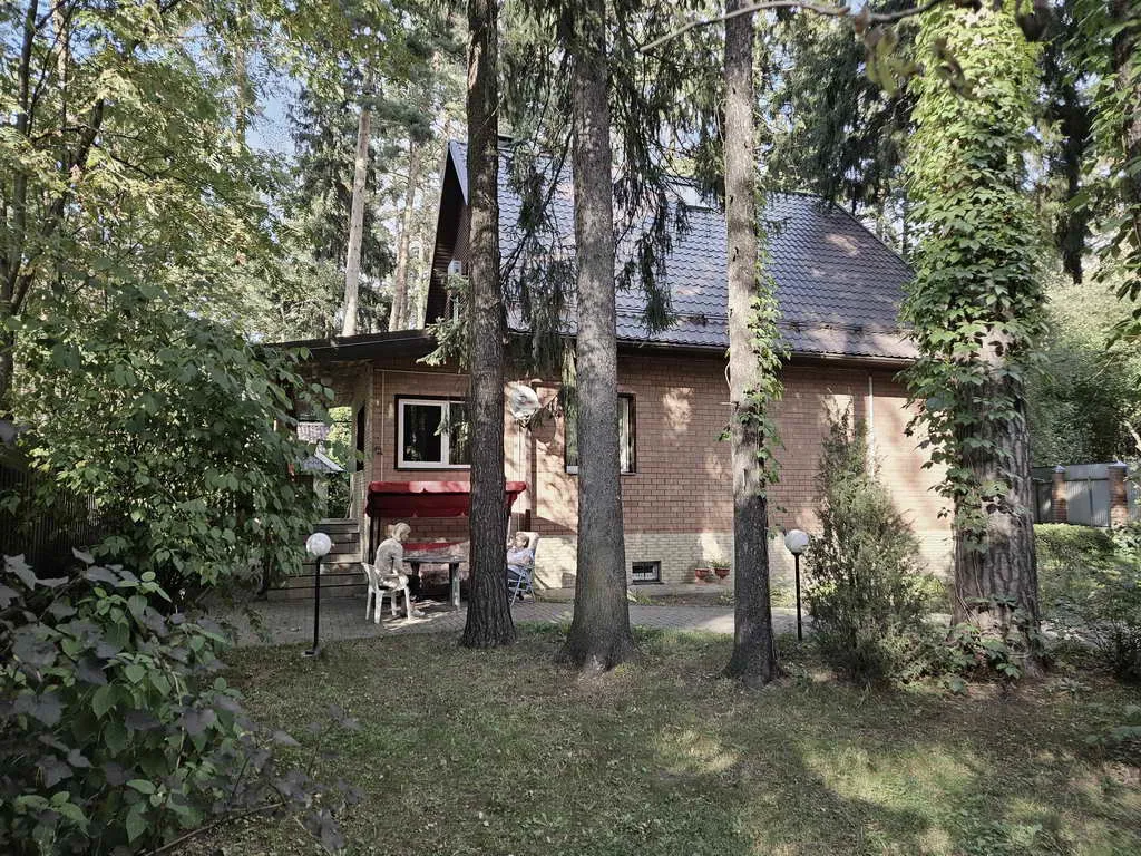 Рыжая дача в соснах, фото 11