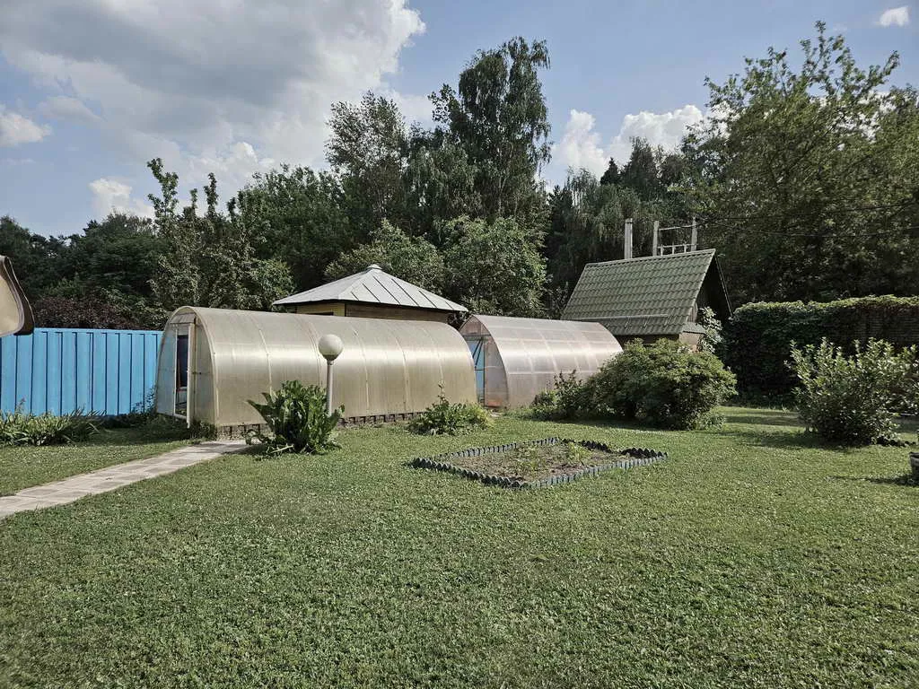 Рыжая Арка Дома, фото 12