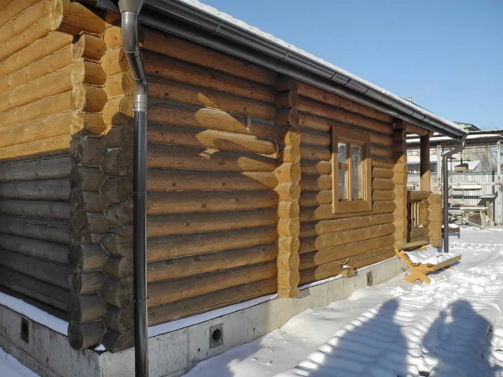 Загородный дом с голубятней, фото 4