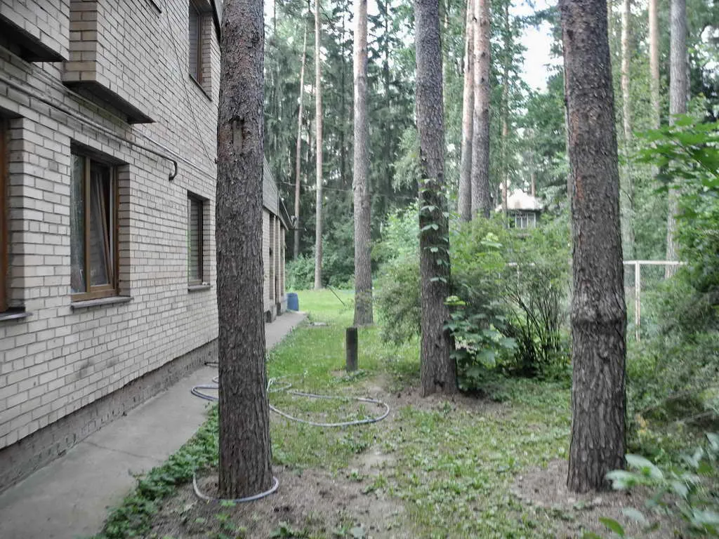 Кирпичная дача в лесу, фото 15