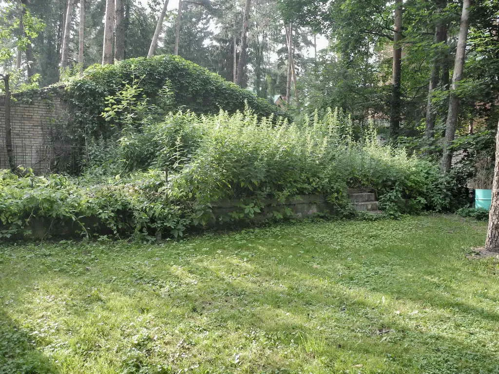 Кирпичная дача в лесу, фото 20