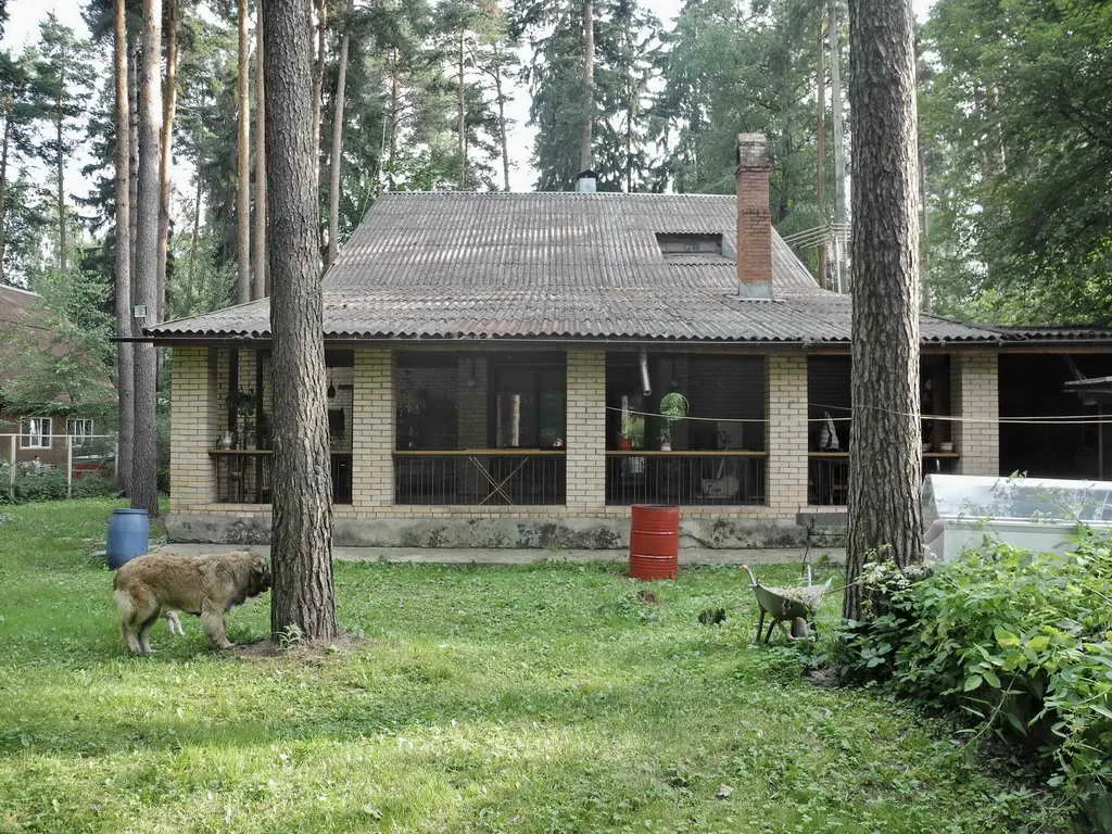 Кирпичная дача в лесу, фото 22