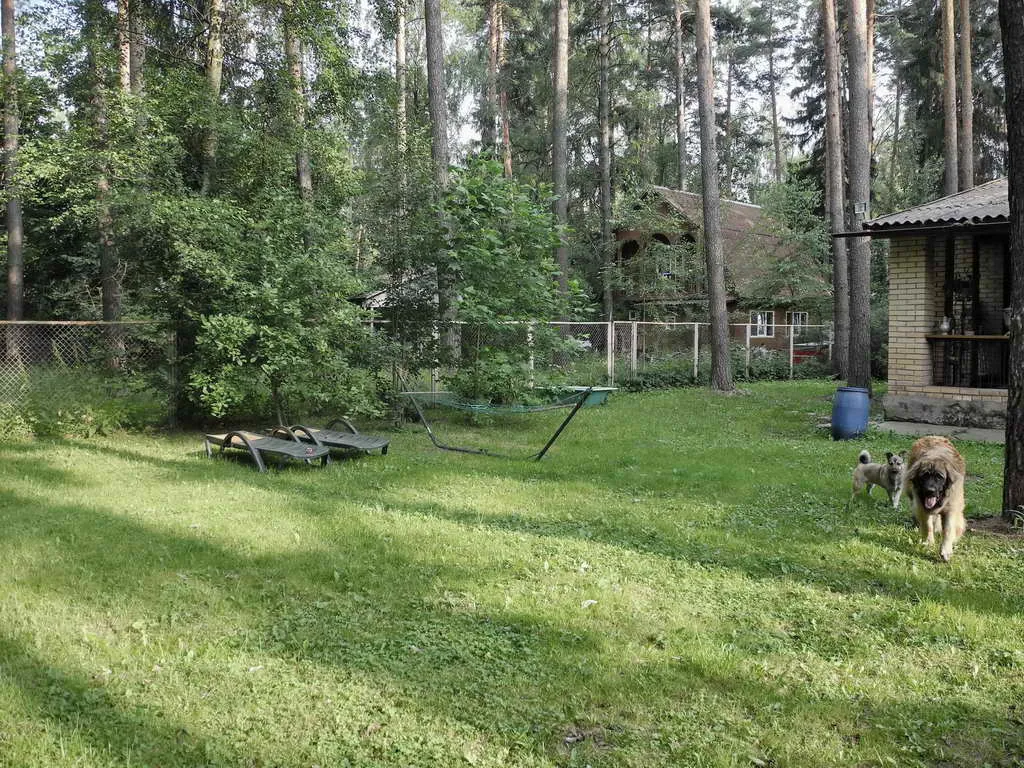 Кирпичная дача в лесу, фото 23