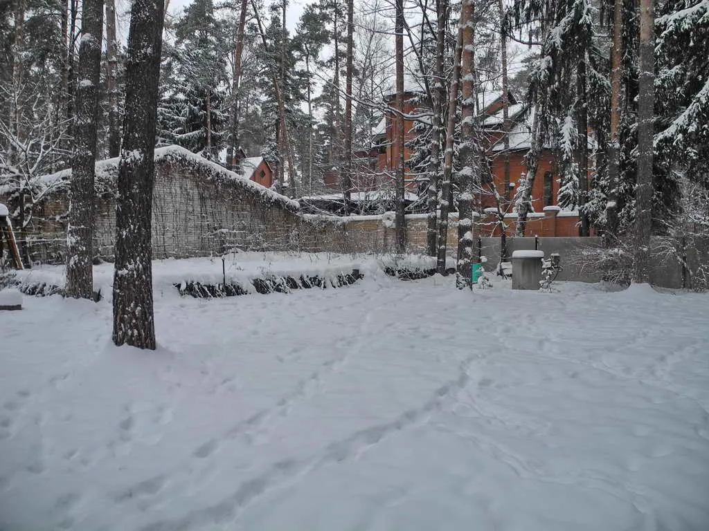 Кирпичная дача в лесу, фото 8