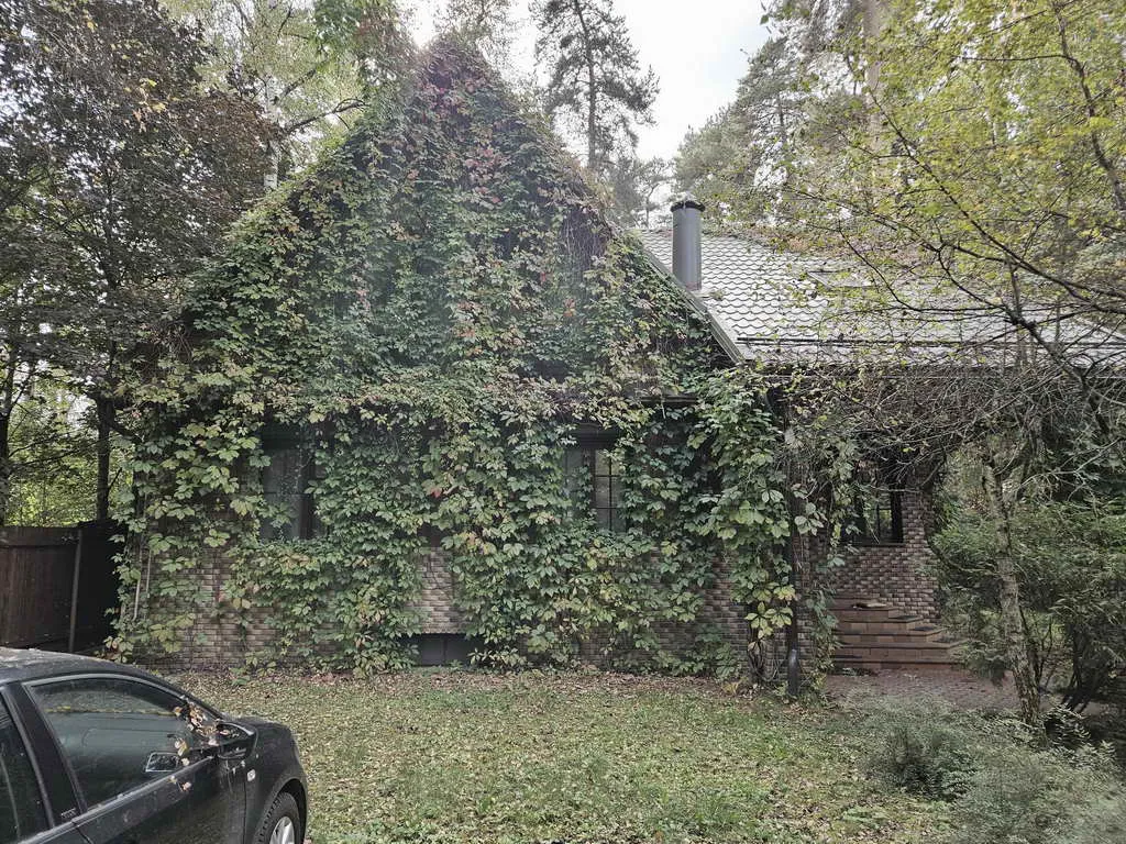 Дача Плетеной Арки, фото 7