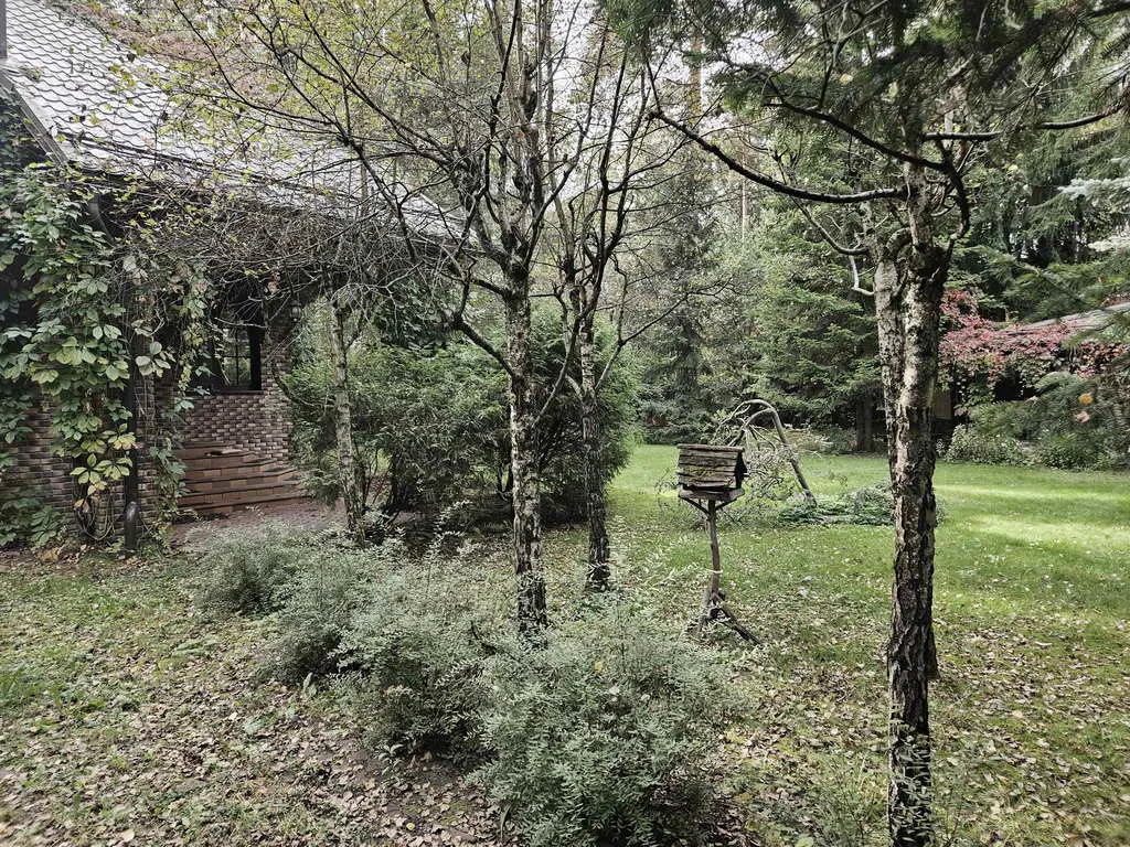 Дача Плетеной Арки, фото 8