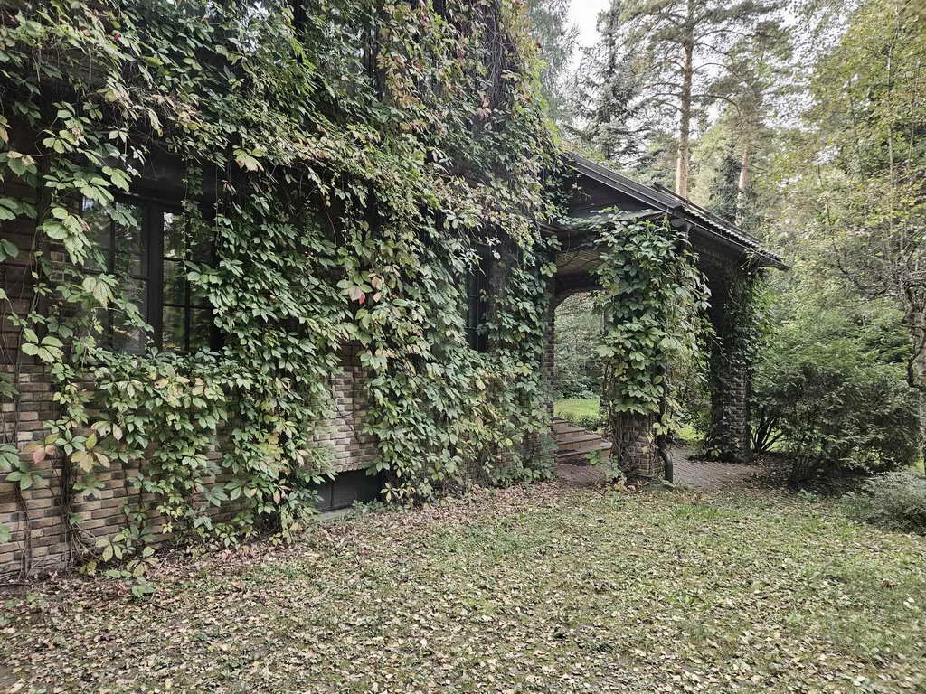 Дача Плетеной Арки, фото 5