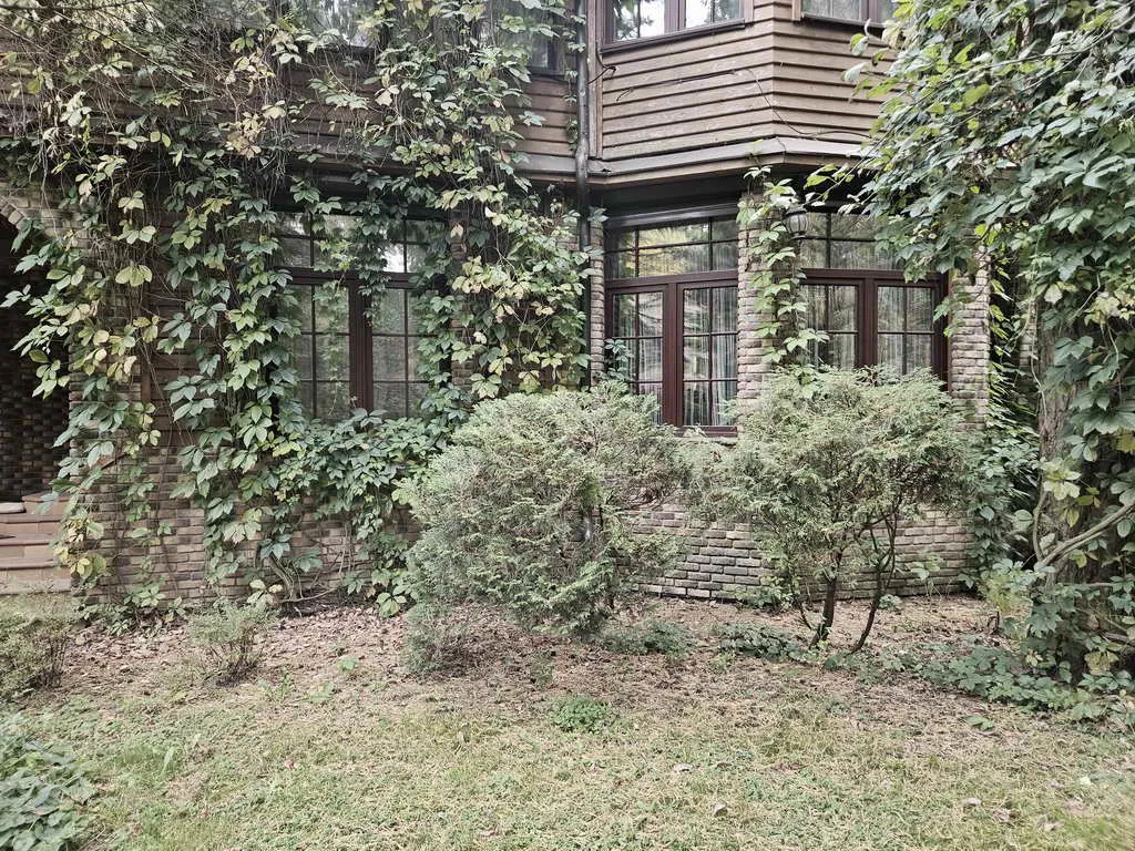 Дача Плетеной Арки, фото 18