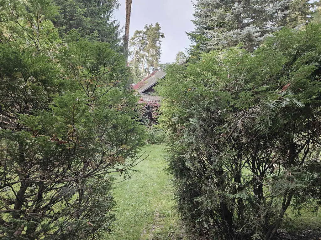 Дача Плетеной Арки, фото 11