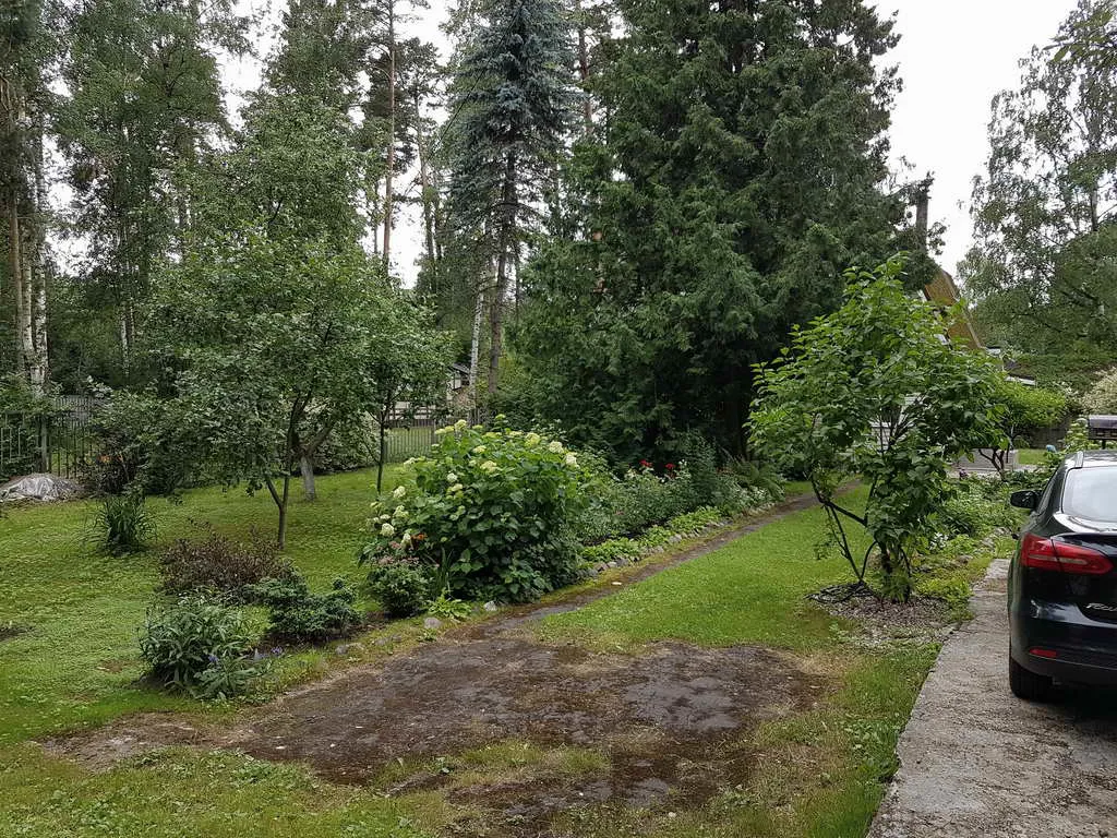 Загородный дом у леса, фото 6