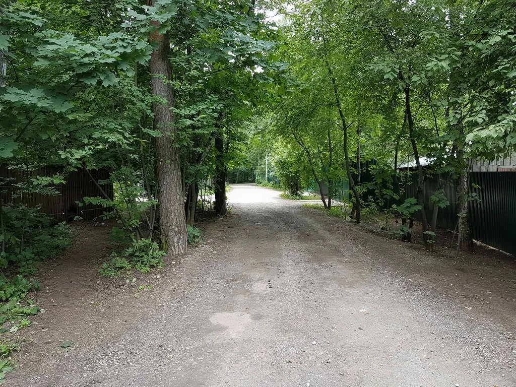 Загородный дом у леса, фото 1
