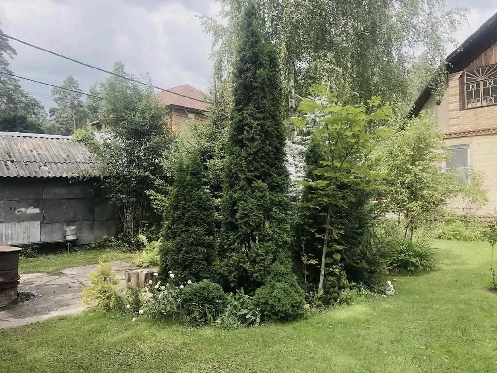 Дача в лесу с террасой, фото 5