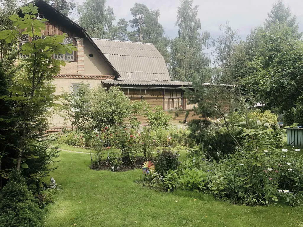Дача в лесу с террасой, фото 3