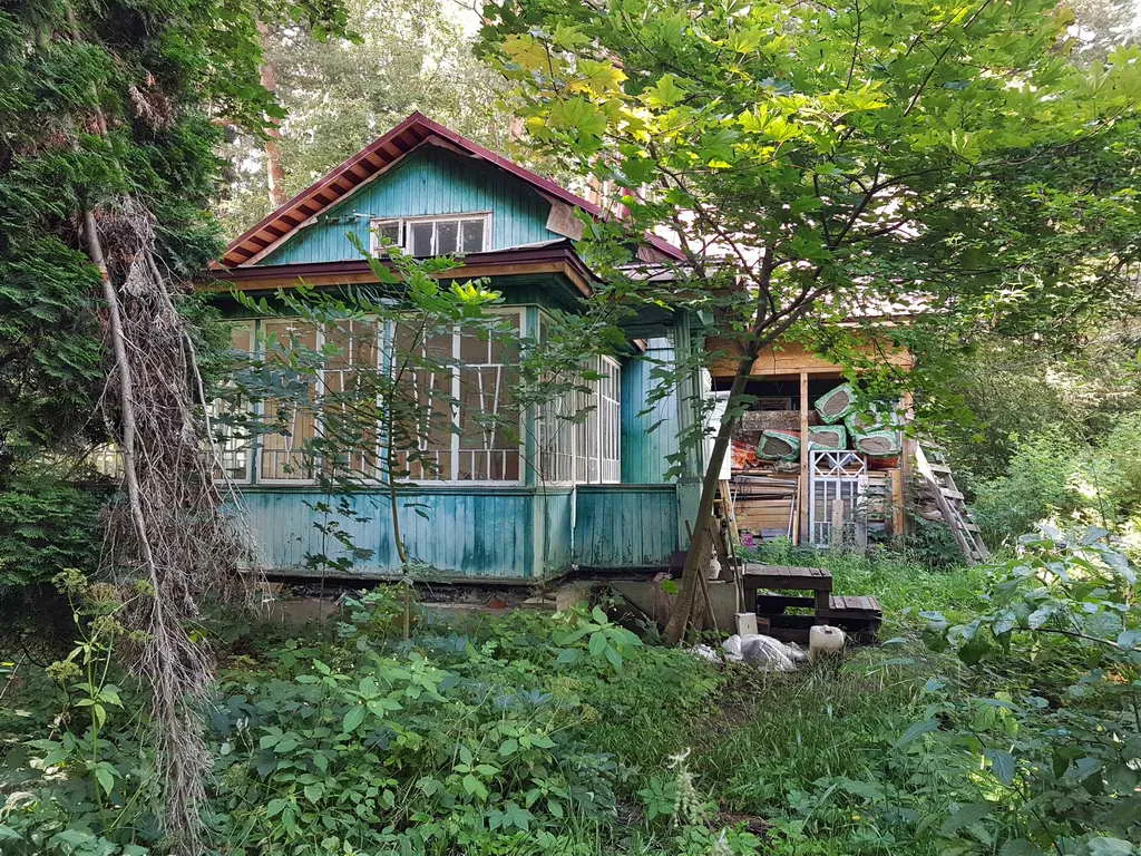 Дача с бирюзовой верандой, фото 5