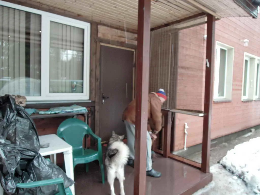 Дача вдоль сосен, фото 17