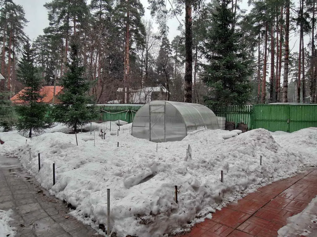 Дача вдоль сосен, фото 15