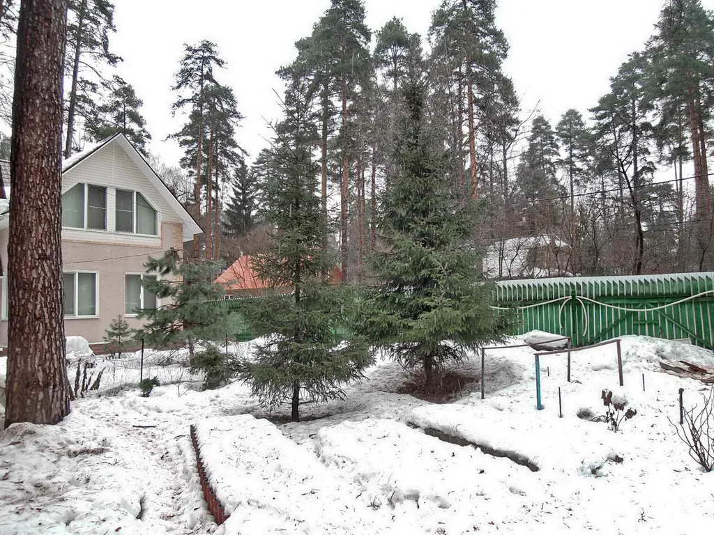 Дача вдоль сосен, фото 19