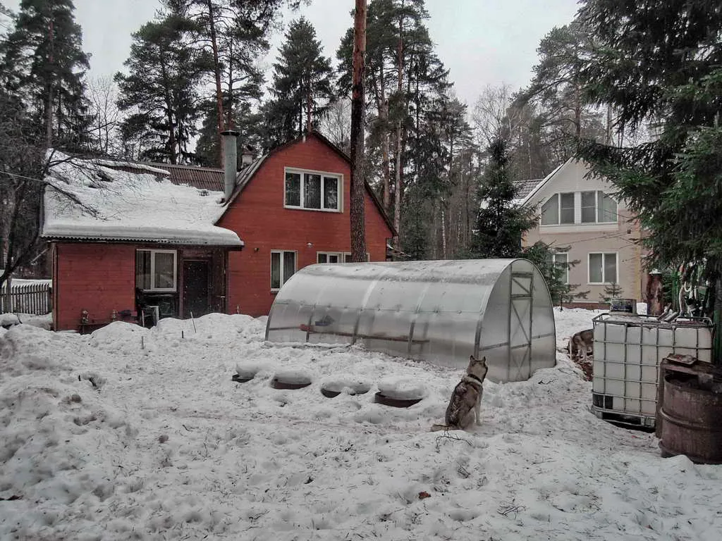 Дача вдоль сосен, фото 7