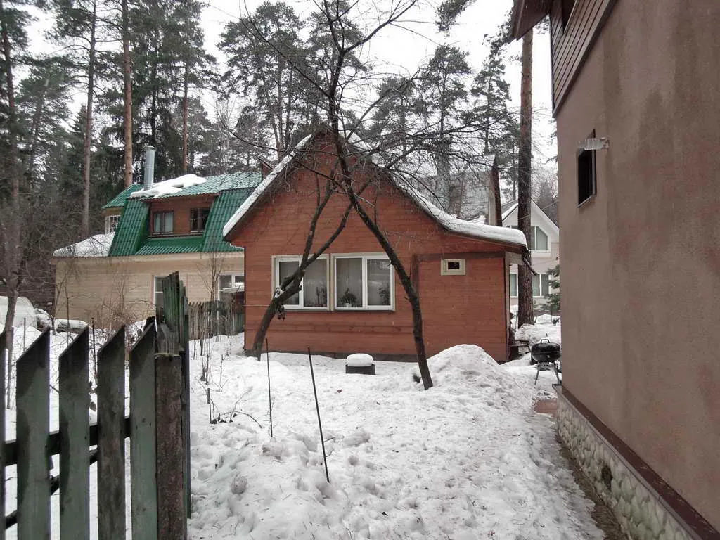 Дача вдоль сосен, фото 14