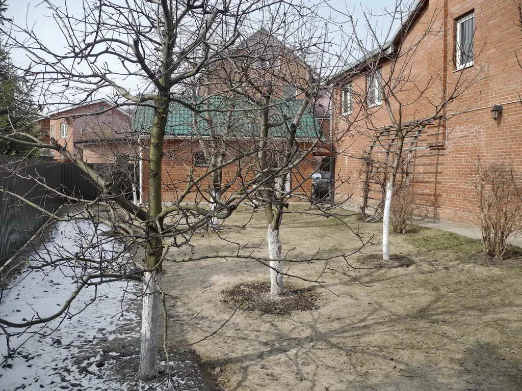 Рыжий дом с аркой, фото 10