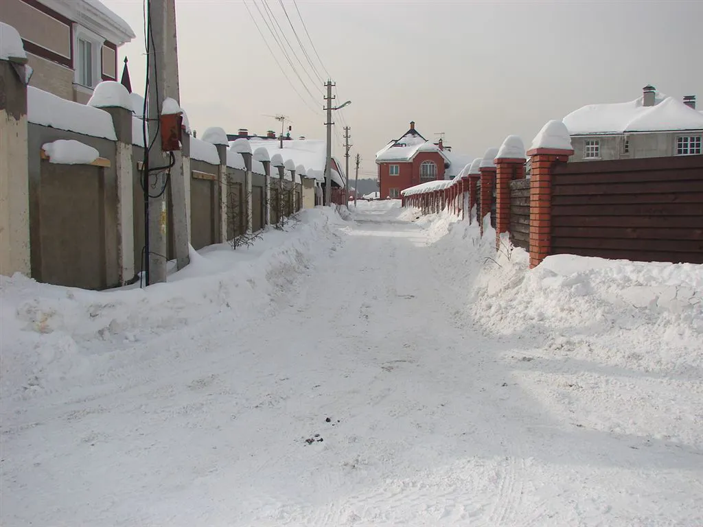 Желтая дача в лесу, фото 5