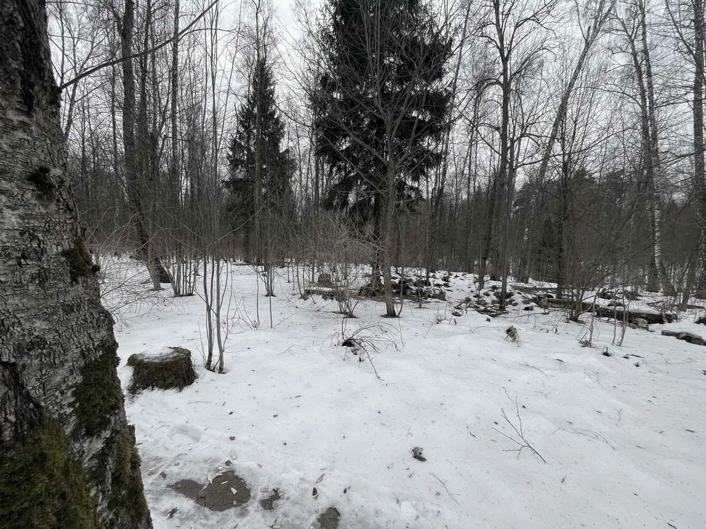 Дом с колоннами и львами, фото 24