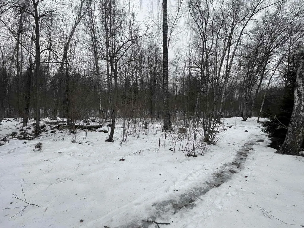 Дом с колоннами и львами, фото 22