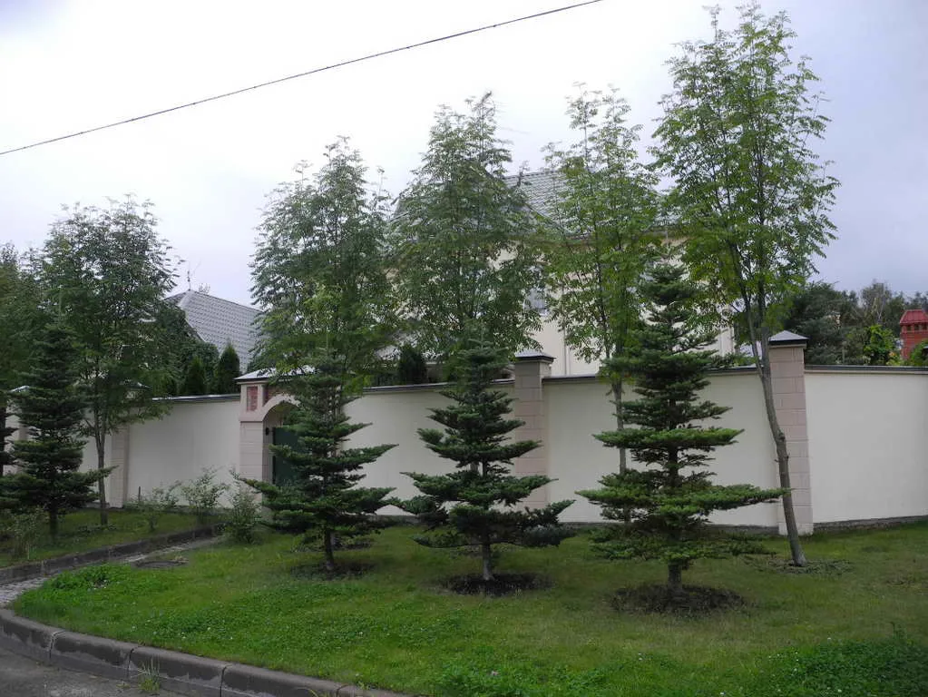 Загородный дом с плющом, фото 1